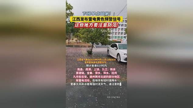 江西省武宁县发布雷电黄色预警