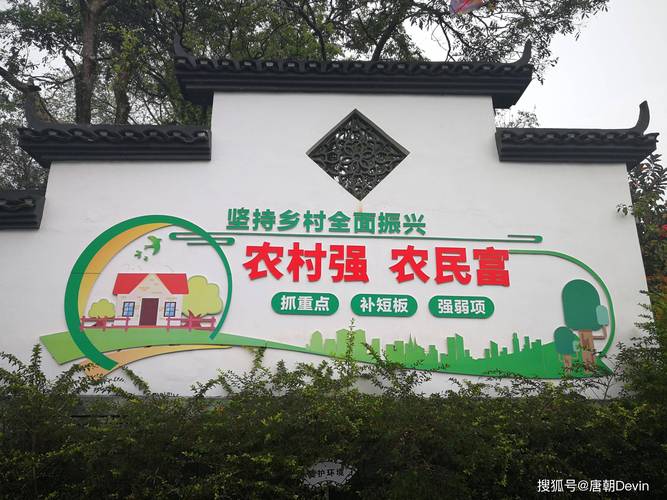 特色产业蓬勃发展 各地乡村振兴玩出“新花样” 焕发新活力