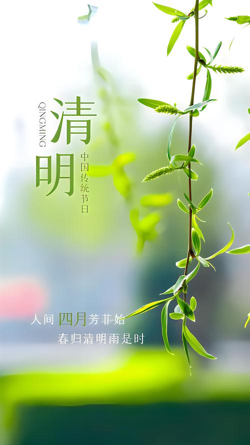 清明时节 共享春日好时光