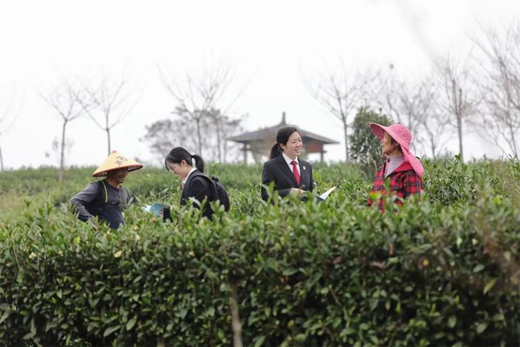 福建永泰:如我在诉,“走心”赢民心