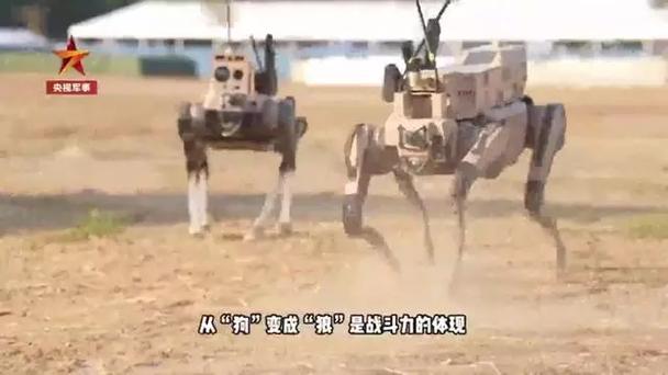 “机器狗”→“机器狼” 能团队协作战力爆表