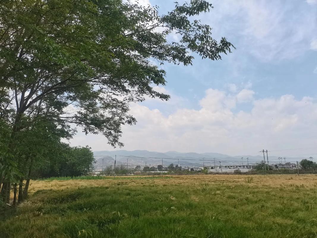 这个夏天,一起沉醉在海南屯昌的乡野田间