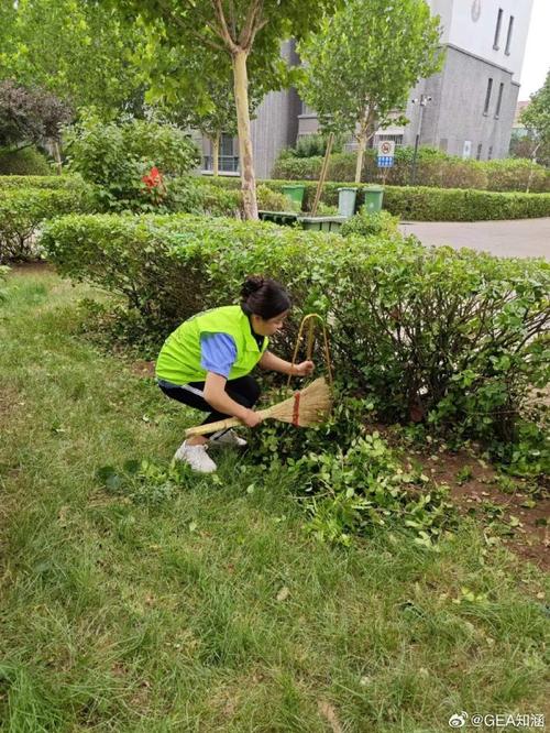 (乡村行·看振兴)农业废弃物“变废为宝” 山西襄垣拓宽“绿色致富路”