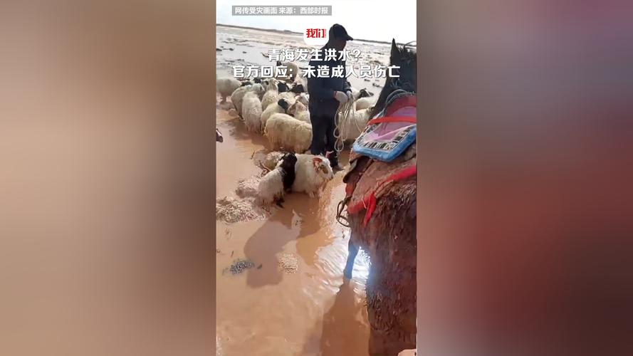 官方回应“网传青海发生洪水”:未造成人员伤亡
