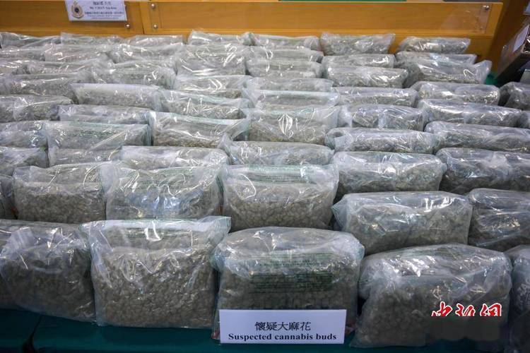 香港海关检获市值约5200万港元疑似大麻花毒品