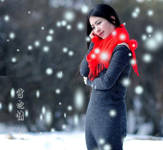 雪之情 梦之声