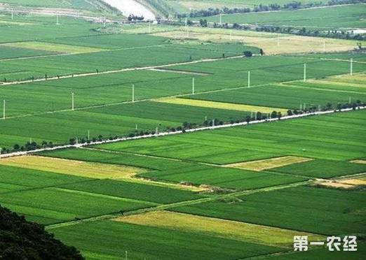 我国农业绿色发展和农村环境治理成效显著