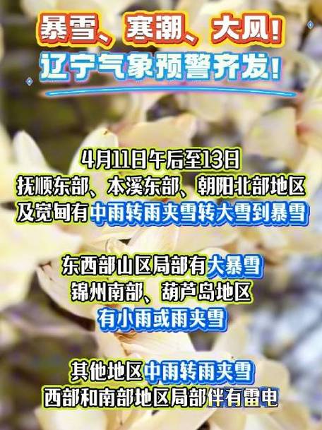 冰冻+寒潮+暴雪+大风!四预警齐发!湖南等地有冻雨或冰粒