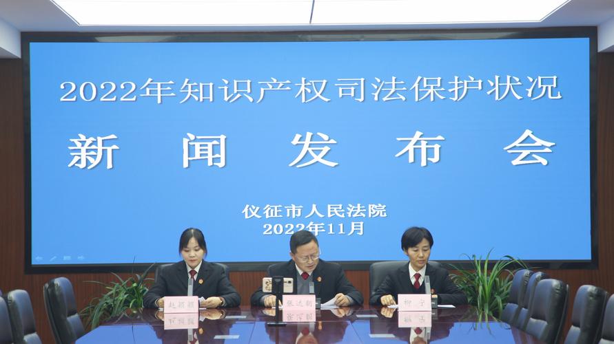 知识产权司法保护有哪些新特点、新趋势?这场发布会画重点